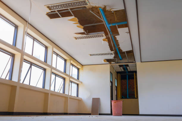 Best Mold removal after water damage  in Heartland, TX
