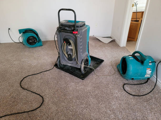 Best Water damage cleanup near me  in Heartland, TX