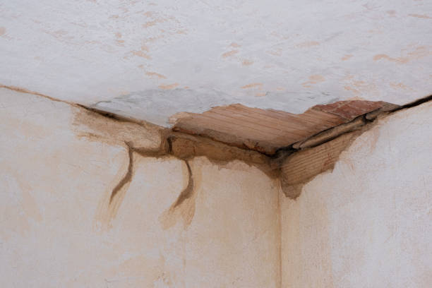 Best 24-hour water damage restoration  in Heartland, TX