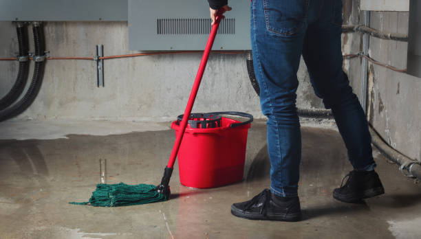 Best Flood damage cleanup  in Heartland, TX
