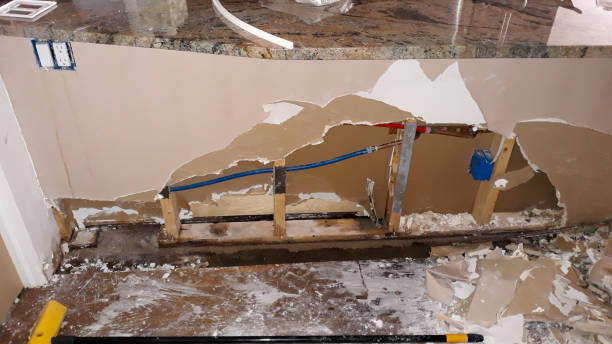 Best Local water damage restoration  in Heartland, TX