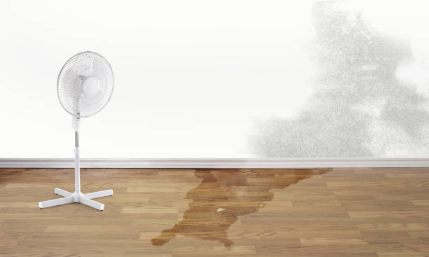 Best 24/7 water damage repair  in Heartland, TX