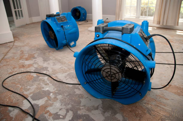 Best Water damage restoration near me  in Heartland, TX